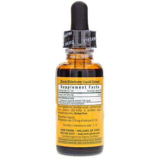 Black Elderberry Extract Organic, HPH
